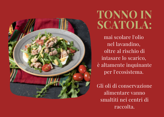 olio tonno in scatola.png